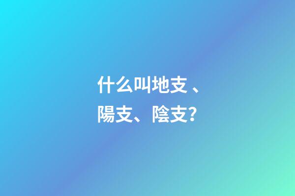 什么叫地支、陽支、陰支？